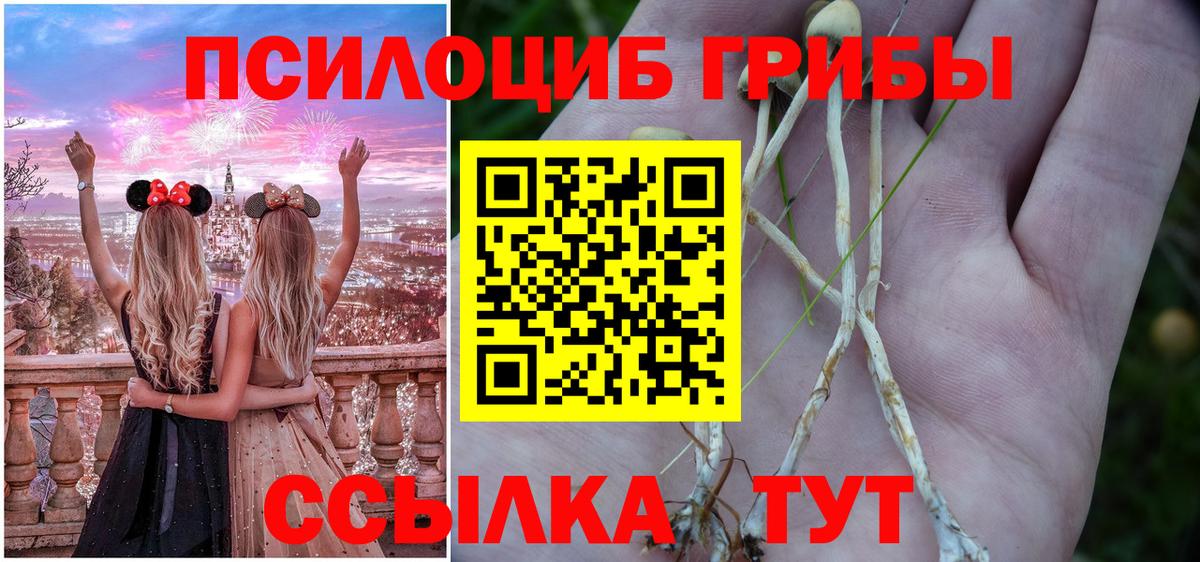 Псилоцибиновые грибы Psilocybe Чебоксары
