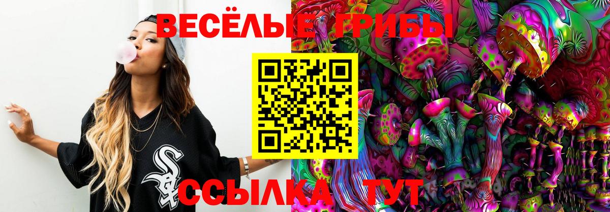 Псилоцибиновые грибы Psilocybine cubensis  купить наркотик  Чебоксары  Вход с VPN  Галлюциногенные грибы прущие грибы 